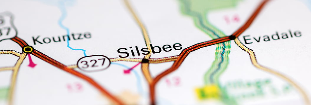 Silsbee Branch