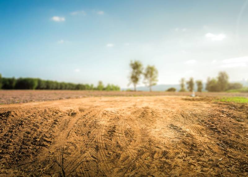 Up close view of built up dirt in the middle of a piece of land with trees in the distance. 